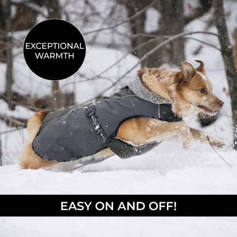 Shedrow K9 Chinook Dog Coat M Chimera - Poudre Pet & Feed Supply 4